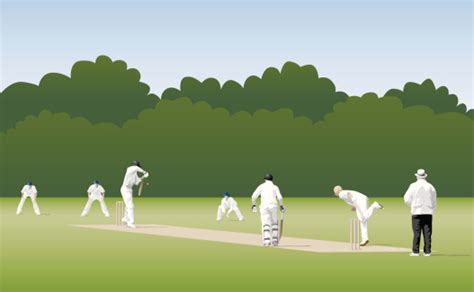 Digital Illustration Of A Cricket Match Stock Illustration Download