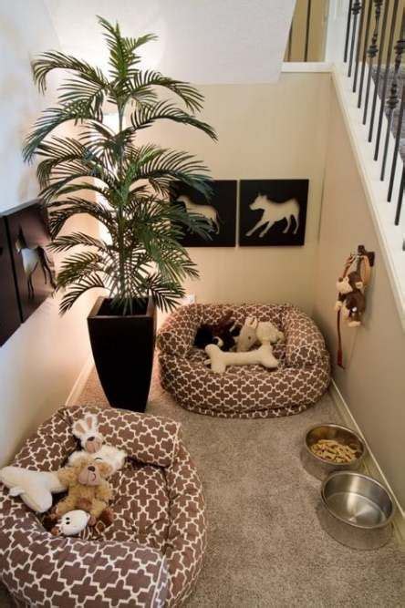 See more ideas about dog rooms, dog kennel, diy dog stuff. Dogs room spoiled 51 Trendy ideas | Dog room design, Dog ...