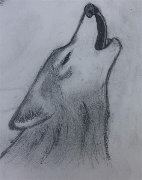 Howling Wolf Drawing Drawings Post Imgur Cool Wolf Drawings Wolf