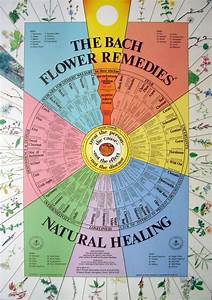 Bach Flower Remedies Chart