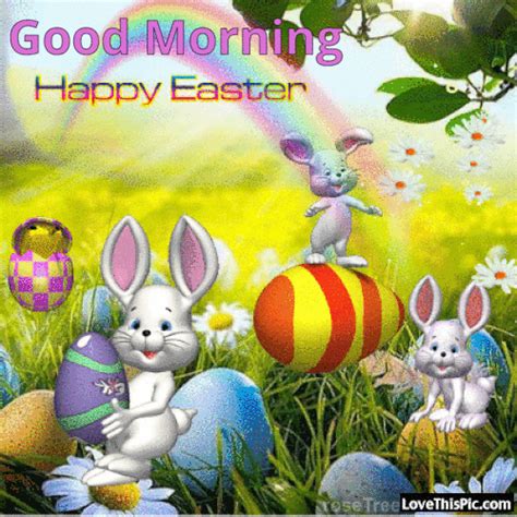 Easter Bunny Good Morning  Pictures Photos And Images For Facebook