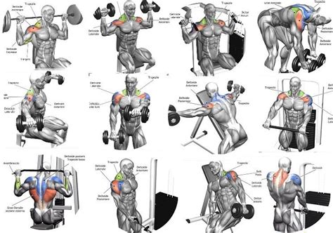 Exercises Tips For A Complete Shoulder Workout Shoulder Workout