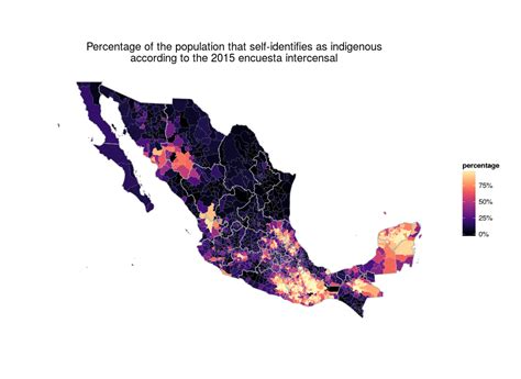 Mexicos Black Population
