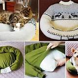 Cat Beds Off The Floor Images