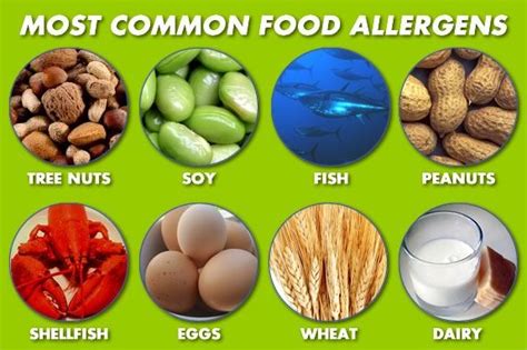 Food intolerances may lead to discomfort, but they do not involve the same measurable immune most common symptoms of a milk allergy: The Top 12 Food Allergies: The Dirty Dozen