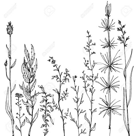 Autocad file, drawing in dwg and dxf formats : Flower Meadow Cliparts, Stock Vector And Royalty Free ...