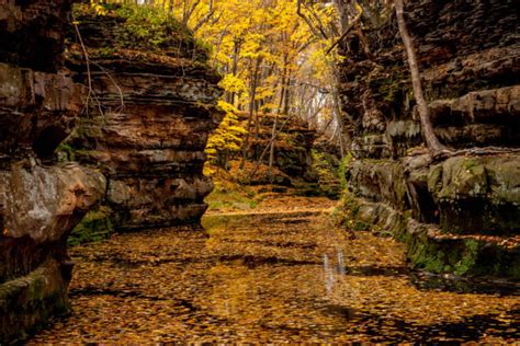 When And Where To See Wisconsin Fall Colors In 2017