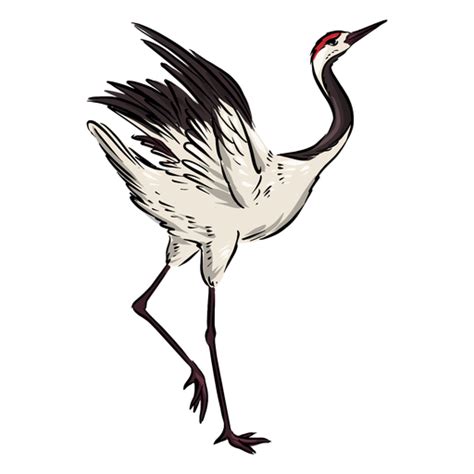 Pretty Crane Bird Transparent Png And Svg Vector File