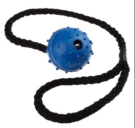Classic Rubber Kong On Rope Pimple Peejay Pets Superstore Ltd