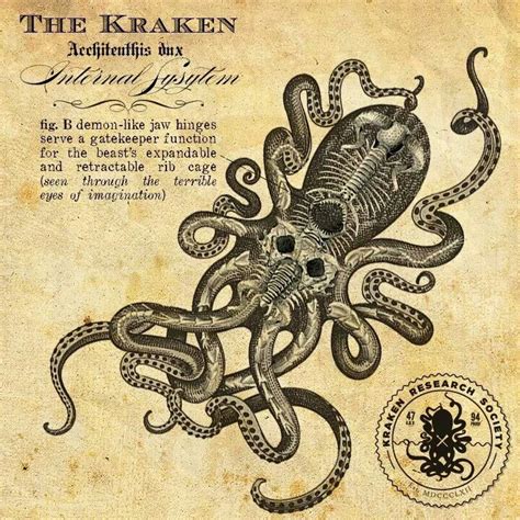 So Awesome Kraken Vintage Drawings Octopus Art