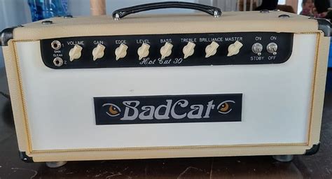 Bad Cat Hot Cat 30 30 Watt Guitar Amp Head Pauls Gear Reverb