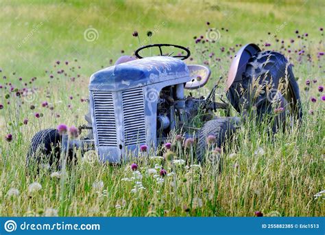 Old Vintage Tractor Antique In Field With Flowers Abandoned Stock Image