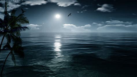 Res 1920x1080 Nature Perfect Night Sea Island Moon Ocean