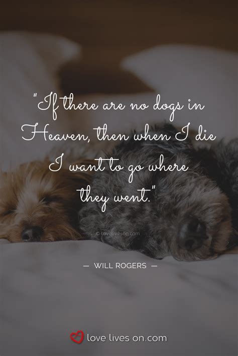 50 Beautiful Loss Of Pet Quotes In 2021 Dog Quotes Pet Quotes Dog