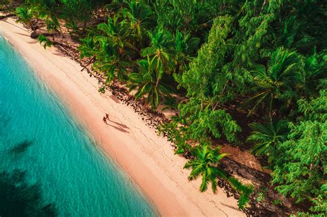 The 12 Best Beaches In The Dominican Republic Lonely Planet
