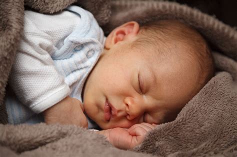 Newborn Sleeping Free Stock Photo Public Domain Pictures