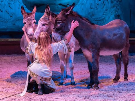 Chantilly Vous Ouvre Ses Portes Pour La Nuit Des Musées Cheval Magazine