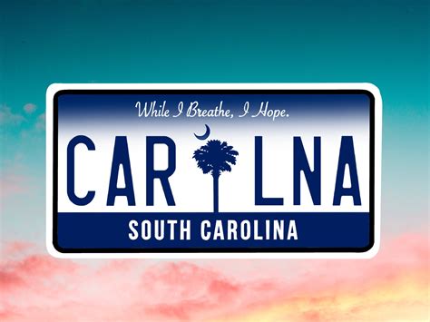 South Carolina License Plate Vinyl Decal South Carolina Etsy