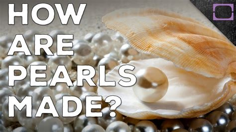 How Are Pearls Made Youtube