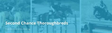 Second Chance Thoroughbreds Victory Automotive