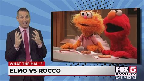 What The Hall Elmo Vs Rocco Youtube