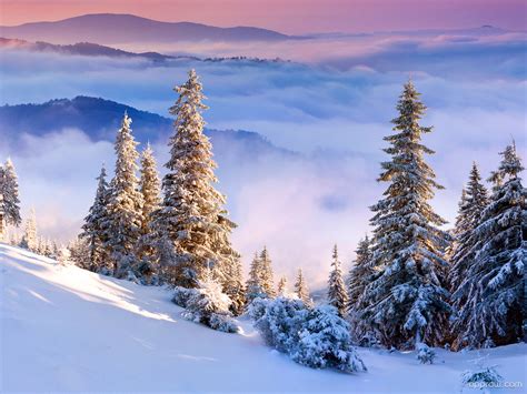 Amazing Winter Alps Wallpaper Download Winter Hd
