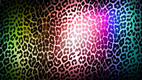 Colorful Cheetah Wallpapers Wallpapersafari
