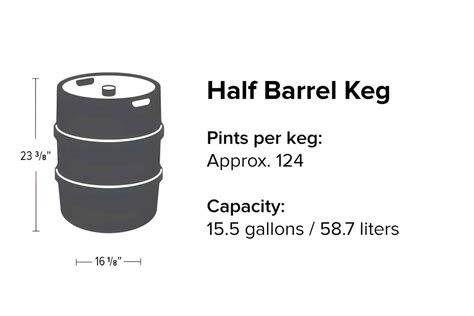Guide To Beer Keg Sizes And Dimensions 42 OFF