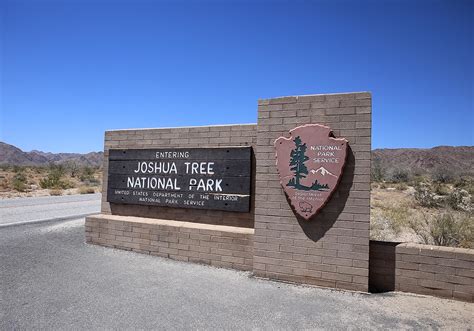 Joshua Tree National Park Entrance Love Swah