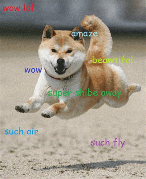 Image 582330 Doge Know Your Meme