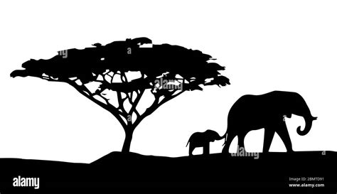 Black Tree Silhouette Vector Image Hi Res Stock Photography And Images
