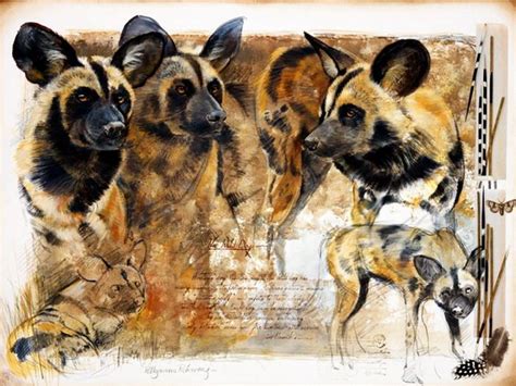 Painted Dog Contemporary Wildlife Art Wildlife Paintings African