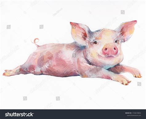 Watercolor Cute Piggy Isolated On White Background Hand Drawn Little