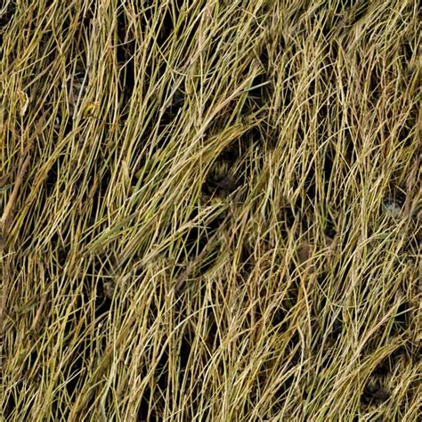 Duck Grass Camouflage Pattern