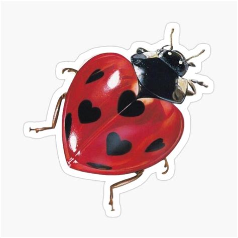 Two Ladybugs Sitting On Top Of Each Other With Hearts Painted On Them