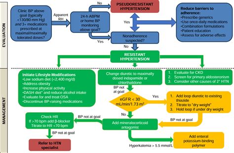 Resistant Hypertension In People With Ckd A Review American Journal
