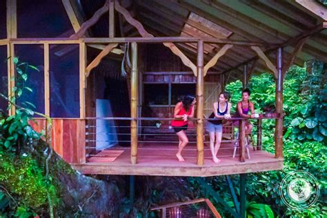 Finca Bellavista Treehouse Community An Amazing Jungle Adventure In