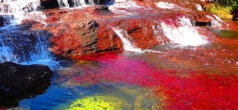 The Rainbow River Of Colombia The Rive Of Five Colors