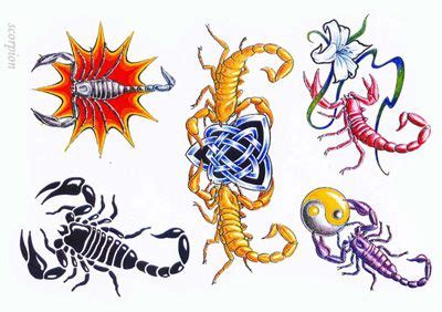 Our website provides the visitors with some great scorpion skull tattoo flash. scorpion tattoo ideas | Scorpion tattoo, Tattoo templates, Tattoo designs