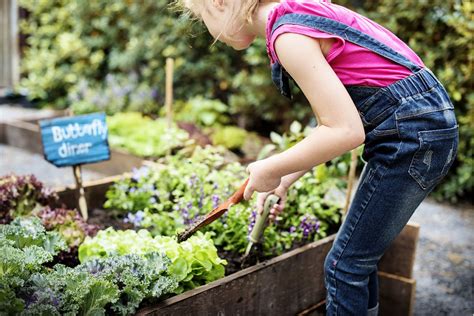 Organic Gardening With Kids Childrens Garden