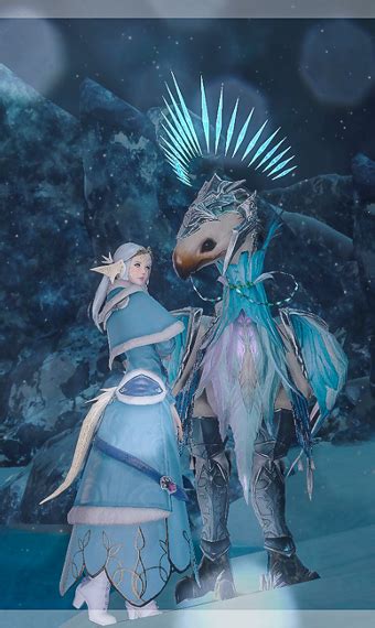 The Northern Ice Princess Eorzea Collection