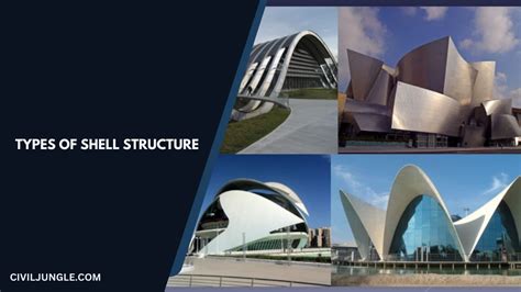What Is Shell Structure 11 Types Of Shell Structure Applications