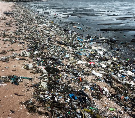 Millions Of Tons Of Trash Being Dumped In Oceans Environmental Watch
