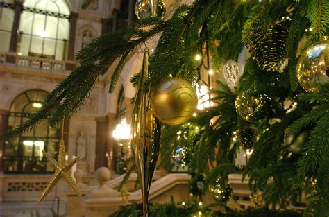 Christmas tree: history and traditions - Artimondo Magazine