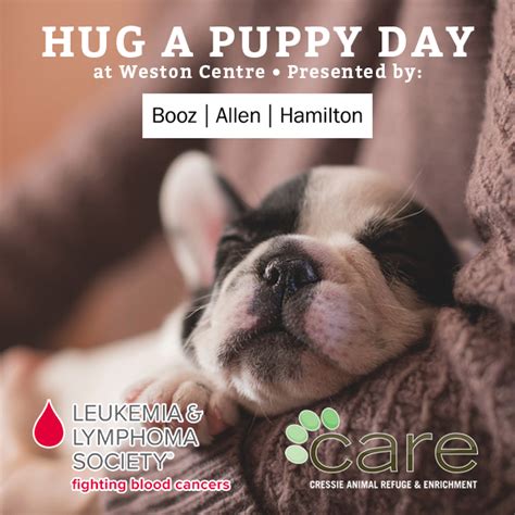 Hug A Puppy Day Tomorrow In Weston Centre Lobby Commercial Office