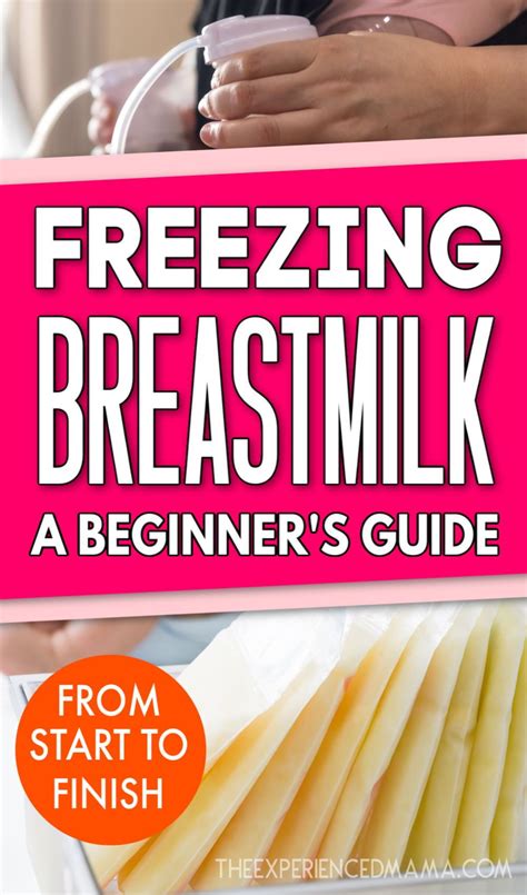 How To Store Frozen Breast Milk A New Mom S Guide Artofit