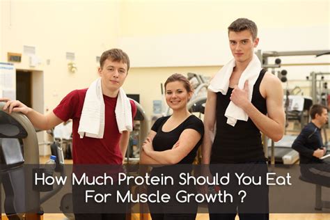 How Much Protein Should You Eat For Muscle Growth