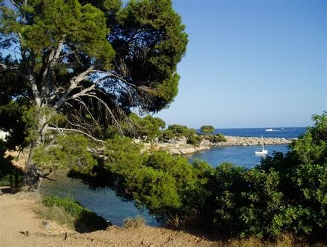 Paisaje Mediterraneo ( Bosque Perenne) | El Clima Mediterran… | Flickr