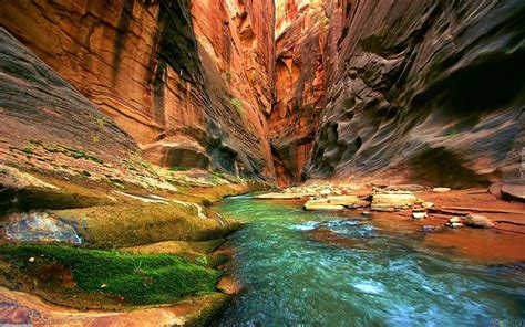 Stany Zjednoczone Stan Utah Park Narodowy Zion Kanion Skały Rzeka