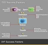 Photos of Ivf Treatment Process Timeline